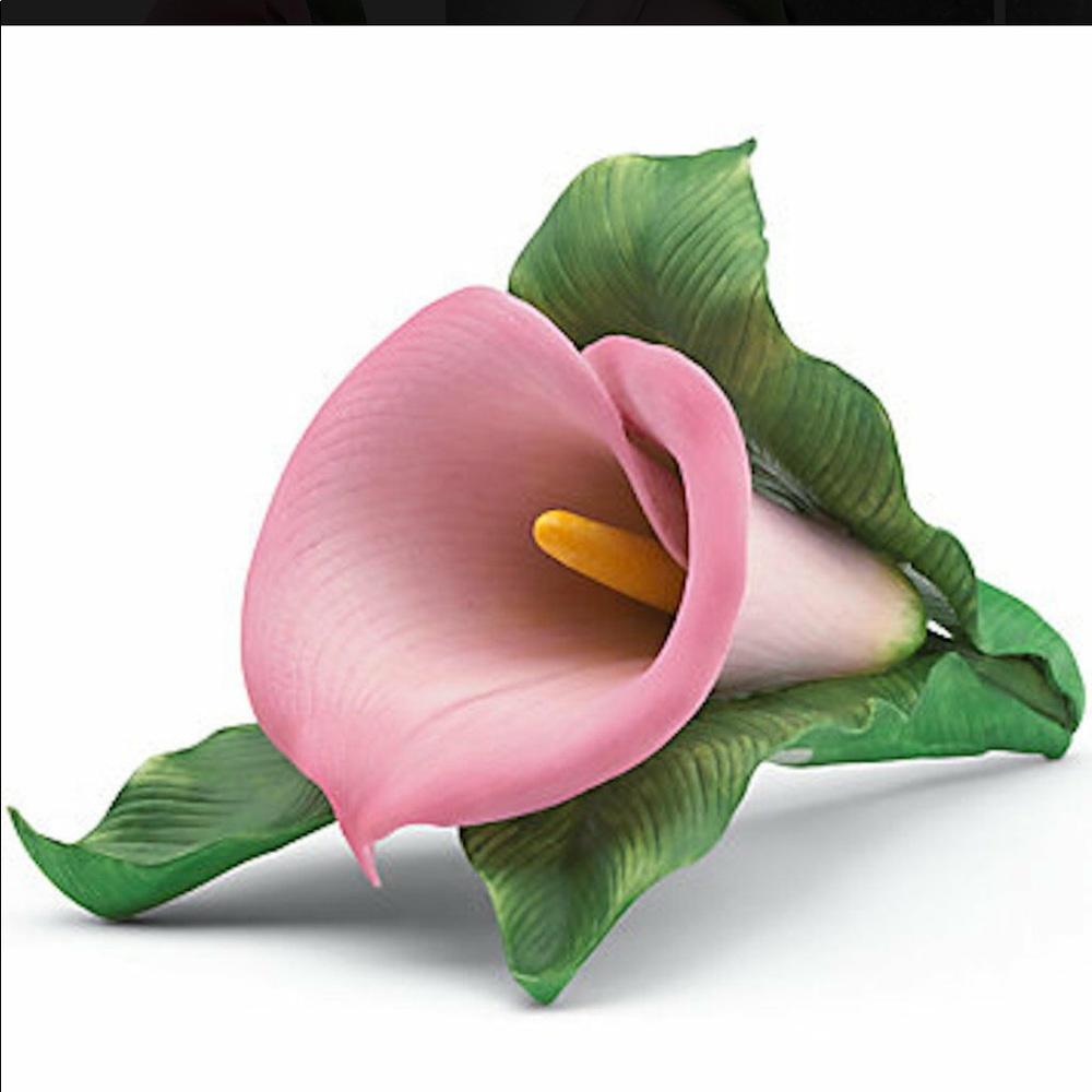 Lenox pink calla lily